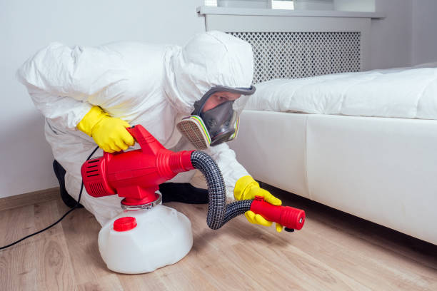 Professional Pest control in Fairview, OR